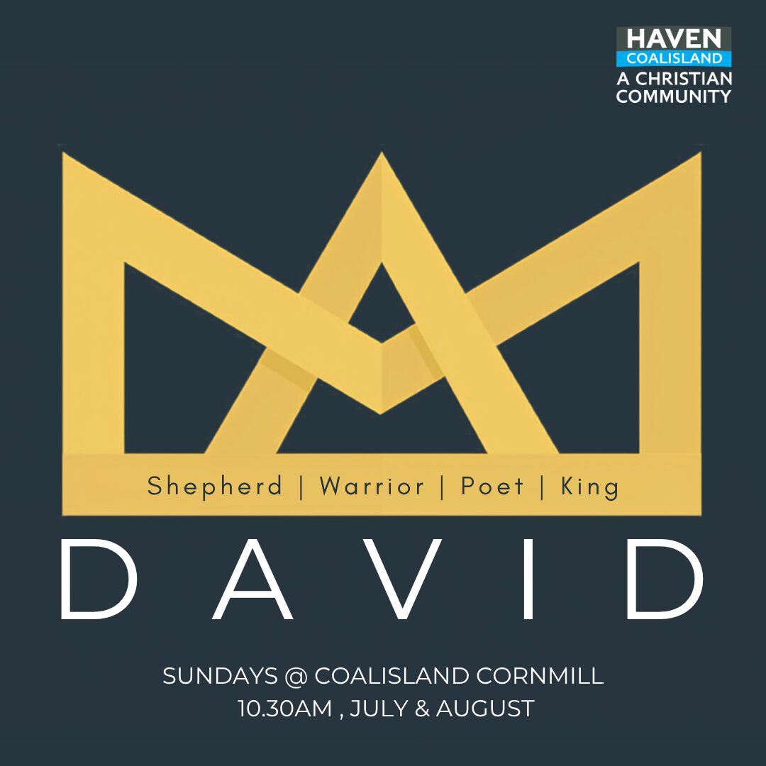 David Logo